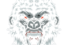 PNG-DISENO-1391-Copy