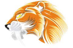 PNG-DISENO-1439-Copy