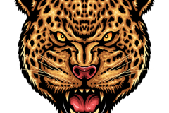 PNG-DISENO-2284-Copy