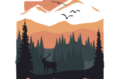 PNG-DISENO-2459-Copy