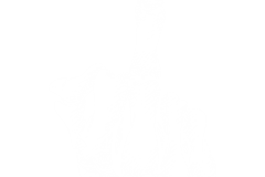 PNG-DISENO-2925-Copy