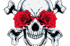 PNG-DISENO-3293-Copy