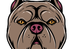 PNG-DISENO-455-Copy